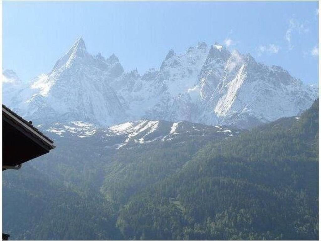 Apartment Clos Du Savoy Chamonix Buitenkant foto